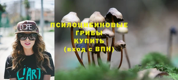 спайс Алексин