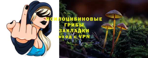 трава Алзамай