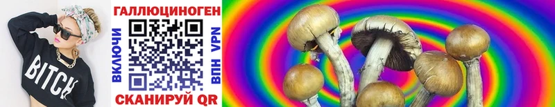 mega сайт  Кирс  Псилоцибиновые грибы Psilocybe 